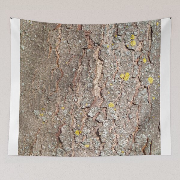 Item preview, Chestnut bark pattern designed and sold by Treemonk.