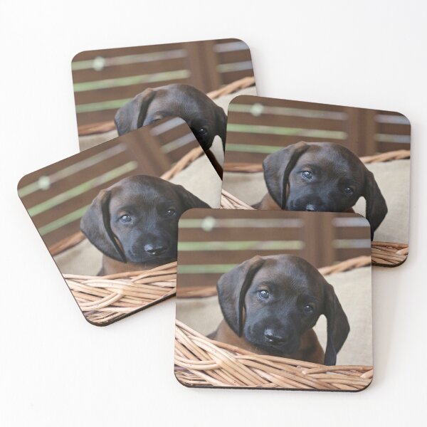 Item preview, Dog in basket designed and sold by NW-Photo-Art.