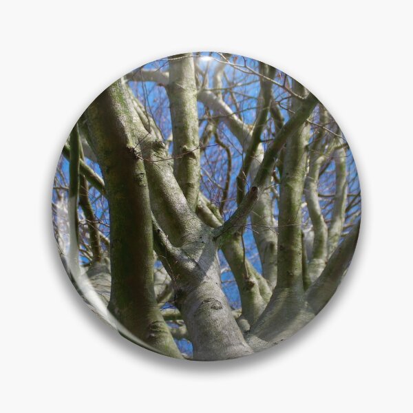 Item preview, Beech crown image designed and sold by Treemonk.