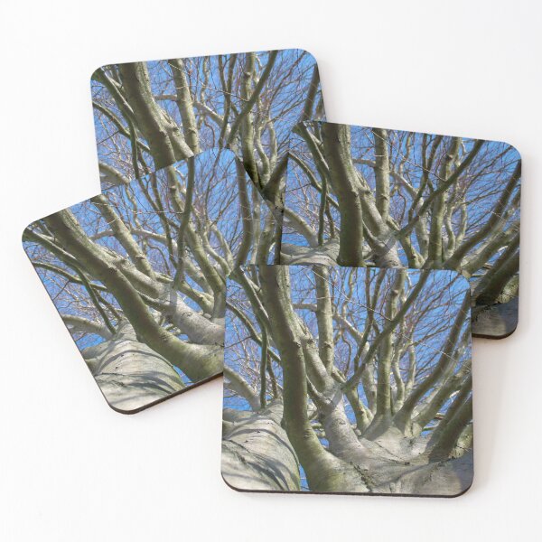 Item preview, Beech crown image designed and sold by Treemonk.