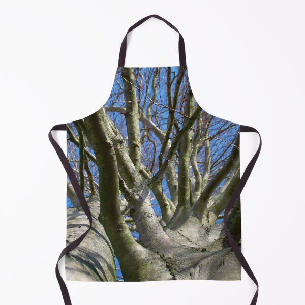 Item preview, Beech crown image designed and sold by Treemonk.