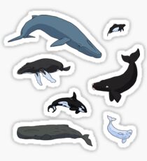 For the Cetacean Lover Sticker