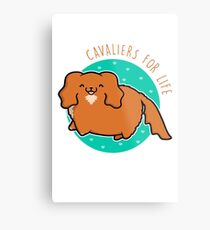 Lámina metálica Cavaliers de por vida - Ruby