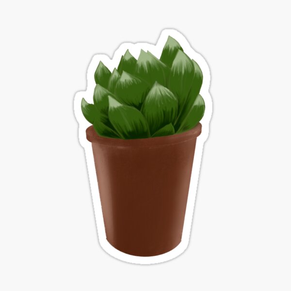 Zebra plant Haworthia Sticker