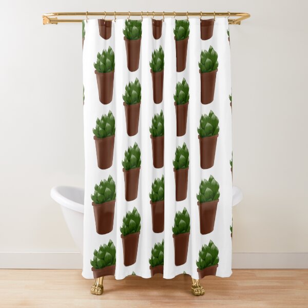 Zebra plant Haworthia Shower Curtain