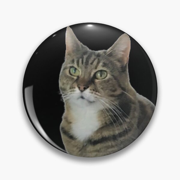 Item preview, Rescued female tabby cat posing, one ginger paw, real cat photo designed and sold by NanaChels.