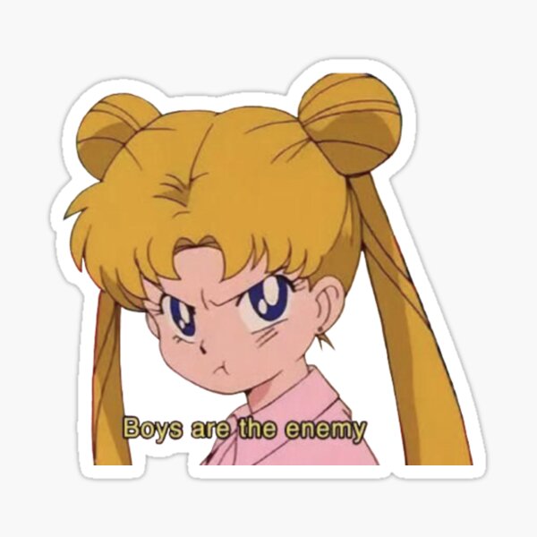 les garçons sont l'ennemi Sticker