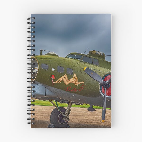 Item preview, Sally B at rest designed and sold by Chris Thaxter.