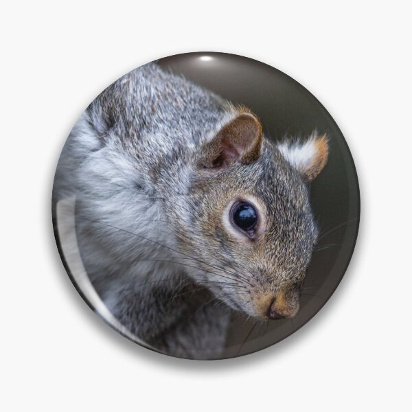 Item preview, Grey Squirrel designed and sold by grumpykeith.