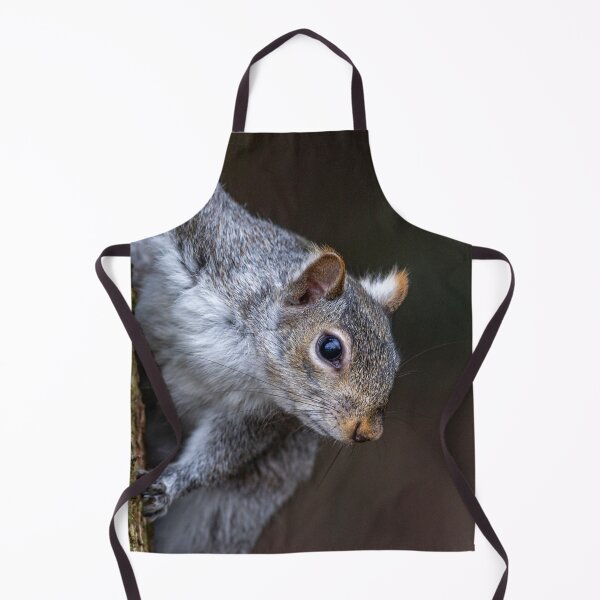 Item preview, Grey Squirrel designed and sold by grumpykeith.