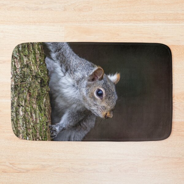 Item preview, Grey Squirrel designed and sold by grumpykeith.