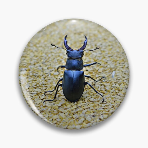 Item preview, Stag beetle designed and sold by NW-Photo-Art.
