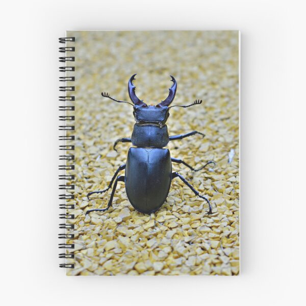 Item preview, Stag beetle designed and sold by NW-Photo-Art.