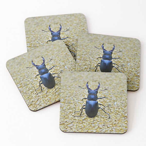 Item preview, Stag beetle designed and sold by NW-Photo-Art.