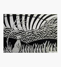 260 - CAT DESIGN - DAVE EDWARDS - INK - 2016 Photographic Print
