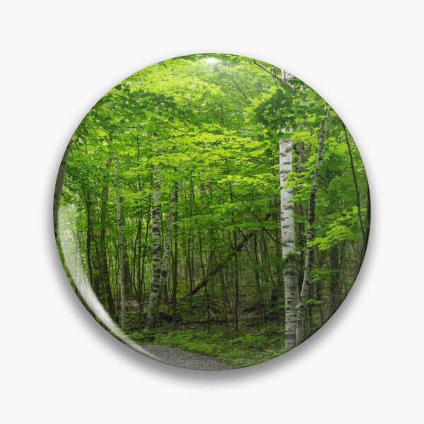 Item preview, Forest Bathing - Winding Path Among the Silver Birches  designed and sold by Georgia Mizuleva.