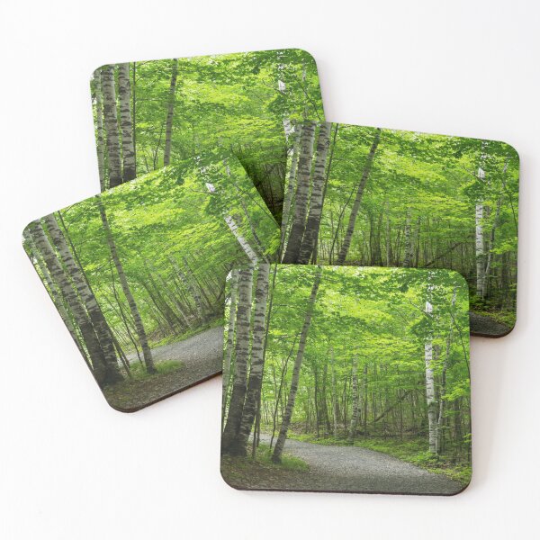 Item preview, Forest Bathing - Winding Path Among the Silver Birches  designed and sold by Georgia Mizuleva.
