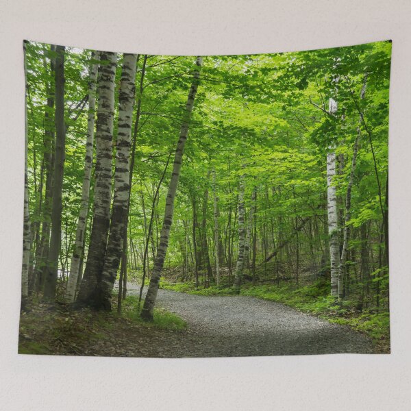 Item preview, Forest Bathing - Winding Path Among the Silver Birches  designed and sold by Georgia Mizuleva.