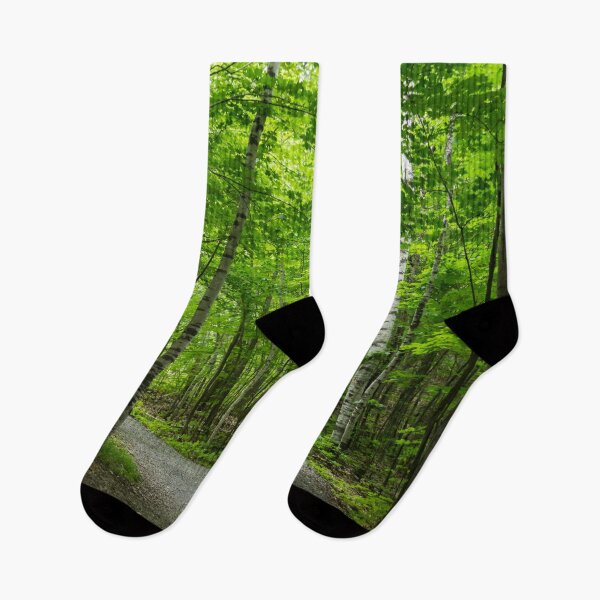 Item preview, Forest Bathing - Winding Path Among the Silver Birches  designed and sold by Georgia Mizuleva.