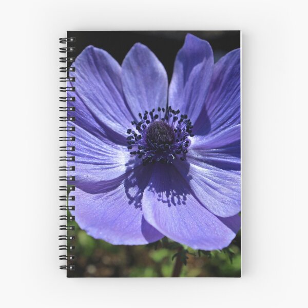Item preview, Grecian Windflower designed and sold by Michiale.