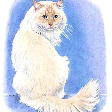 Artwork thumbnail, Cream point Ragdoll by HandsonHart