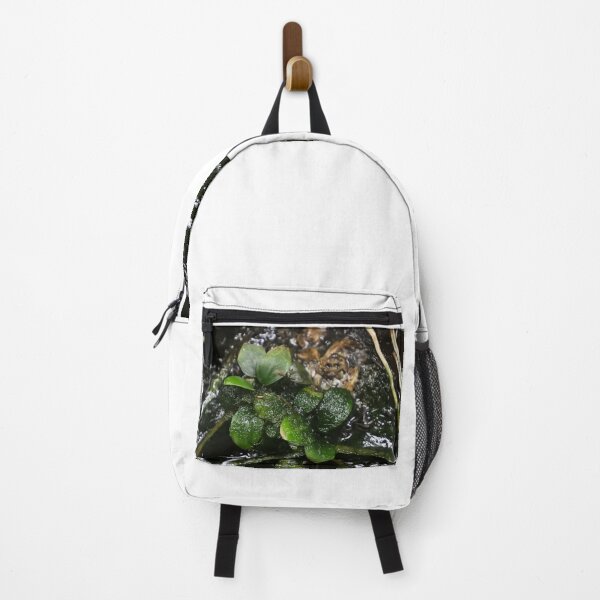 Item preview, Green leaves on moss covered water designed and sold by FCEalin.
