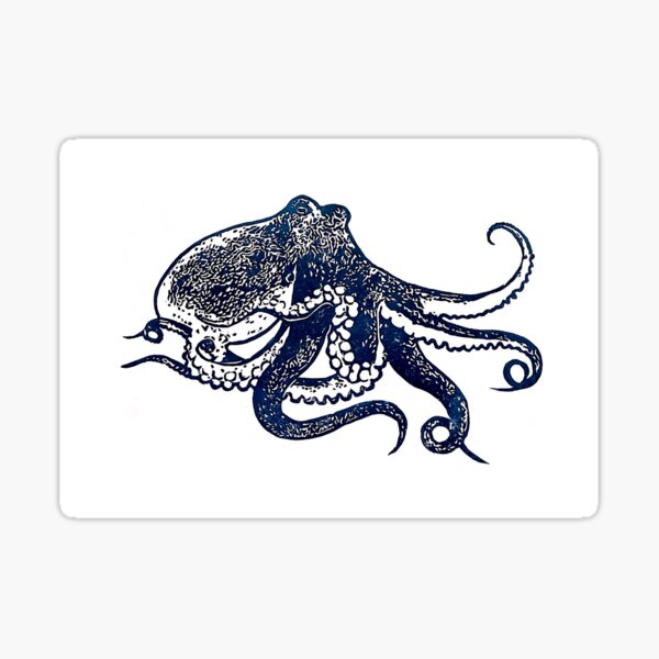 Cephalopoda Sticker