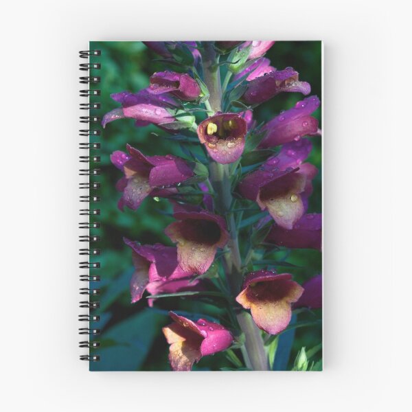 Item preview, Magenta Shade designed and sold by Adam Bykowski.