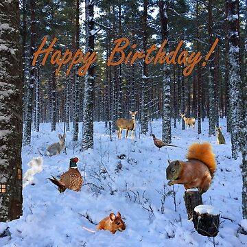 Artwork thumbnail, Winter Woodland - Children's Birthday Card by EuniceWilkie