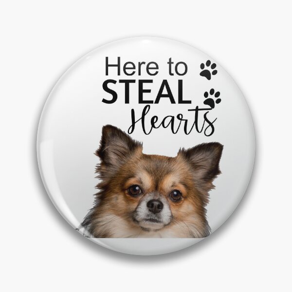 Item preview, Aquí para robar corazones- Lindo perro Pomerania- Día de San Valentín- Día de la Madre designed and sold by DiensDesign.