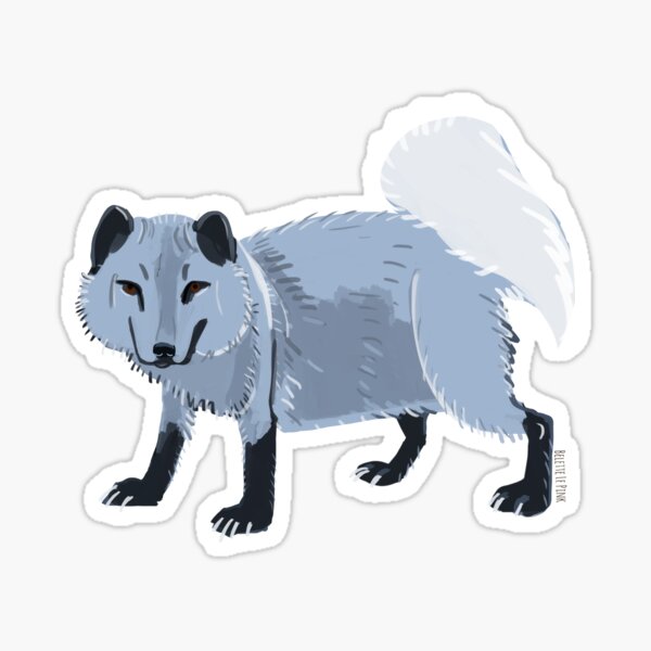 Arctic Fox #4 Sticker