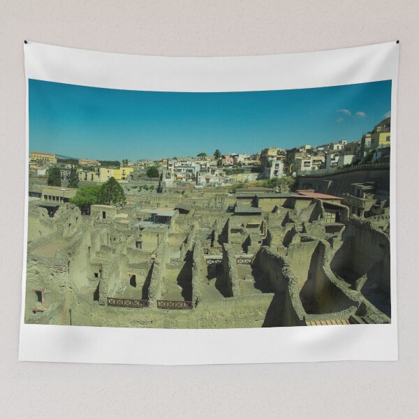 Item preview, Herculaneum Remains designed and sold by hawkie.