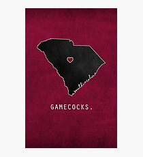 Gamecocks Photographic Print