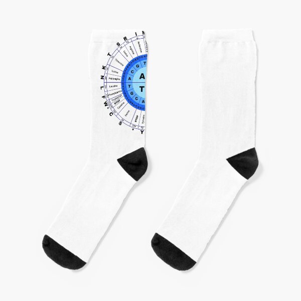 DNA, Genetic Code, Circle, Gene, Codon, Amino Acid. Socks