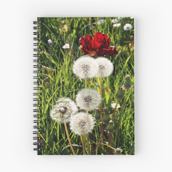 Item preview, Dandelions with Red in Radolfzell - Lake Constance designed and sold by holgermader.