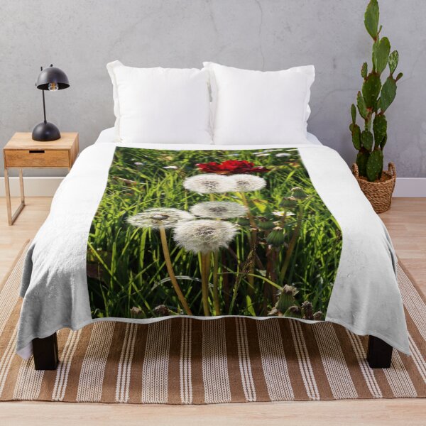 Item preview, Dandelions with Red in Radolfzell - Lake Constance designed and sold by holgermader.