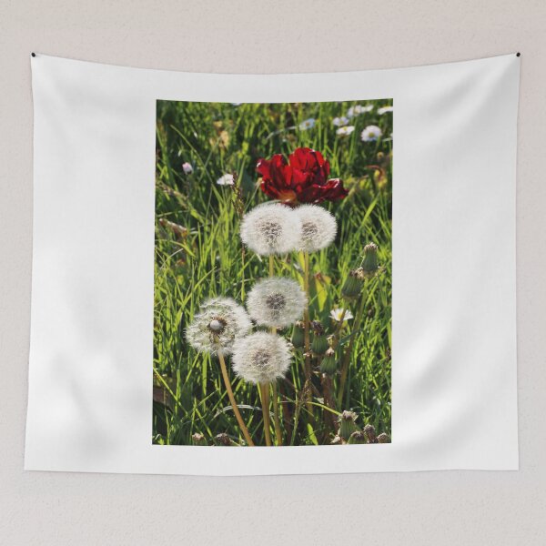Item preview, Dandelions with Red in Radolfzell - Lake Constance designed and sold by holgermader.
