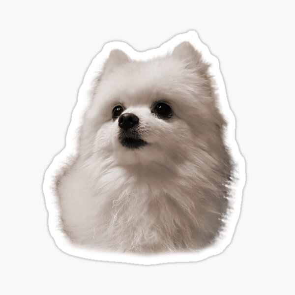 Gabe The Dog Stickers Redbubble