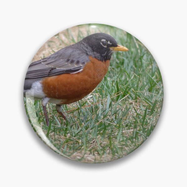 Item preview, American robin designed and sold by Surreybirder.