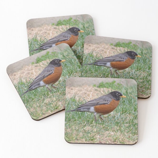 Item preview, American robin designed and sold by Surreybirder.