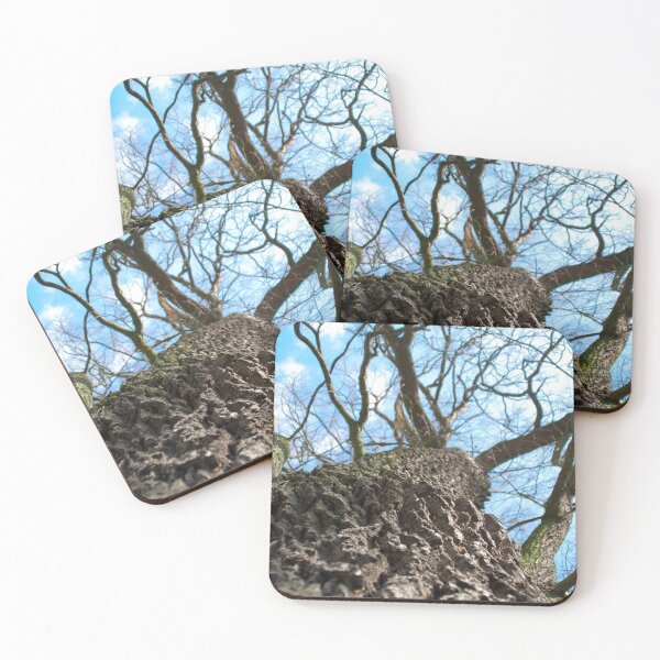 Item preview, Oak crown picture designed and sold by Treemonk.