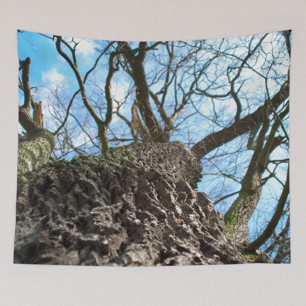 Item preview, Oak crown picture designed and sold by Treemonk.