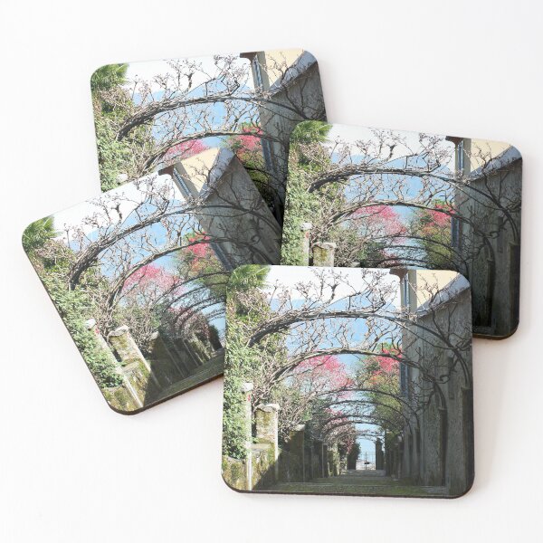 Item preview, Arches. Isola Madre, Lago Maggiore, Italy 2011 designed and sold by Igor Pozdnyakov.