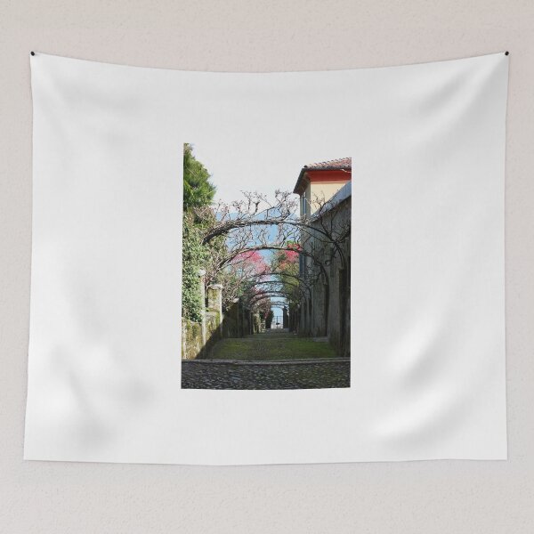 Item preview, Arches. Isola Madre, Lago Maggiore, Italy 2011 designed and sold by Igor Pozdnyakov.