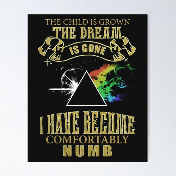 Buy Pink Floyd Poster - Comfortably Numb at 5% OFF 🤑 – The Banyan Tee