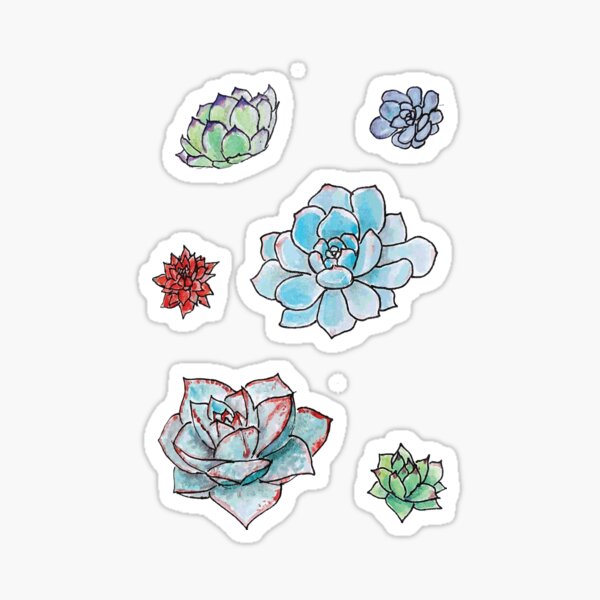 Watercolor succulents Sticker