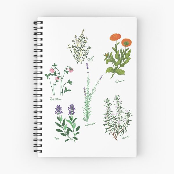Item preview, Herbarium collecting herbs designed and sold by Luaillustration.