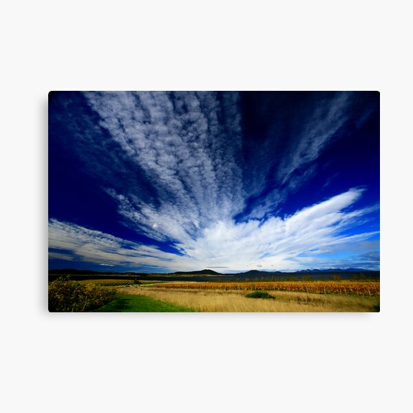 freycinet autumn. eastcoast tasmania, australia Canvas Print