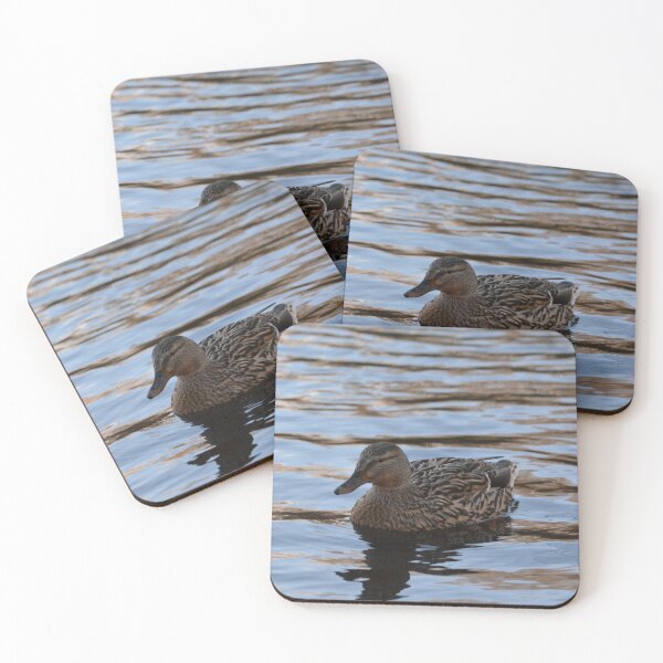 Item preview, Female Mallard Duck in a pond designed and sold by RumRagephotos.