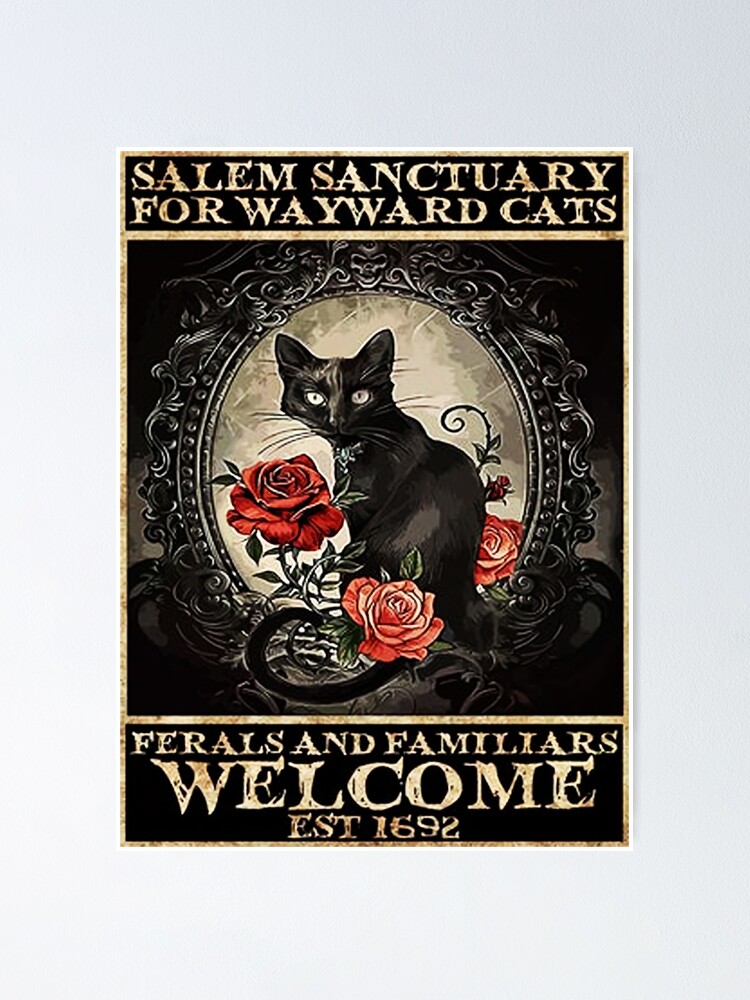 Poster Cat Salem Sanctuary Pour Les Chats Capricieux Les Sauvages Et Les Familiers Accueillent L Est 1692 Par Berthanbelleryx Redbubble